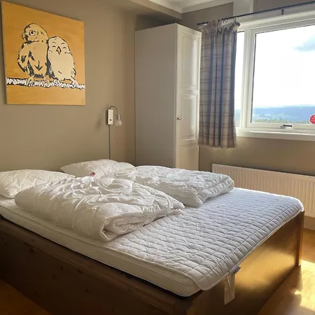 Apartment Toppleilighet Midt I