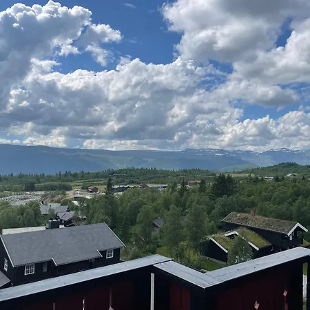 Toppleilighet Midt I