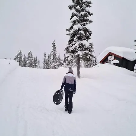 Toppleilighet Midt I *