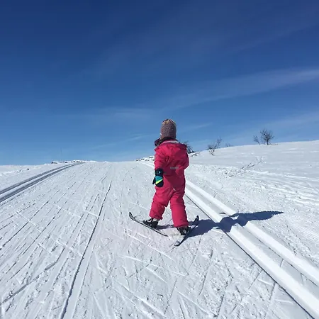Toppleilighet Midt I Beitostolen