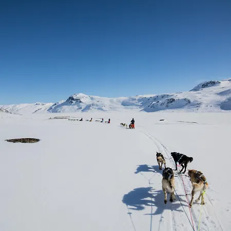 Toppleilighet Midt I * Beitostolen