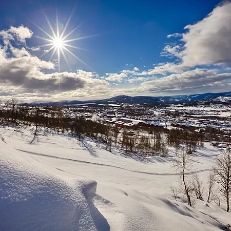 Apartment Toppleilighet Midt I