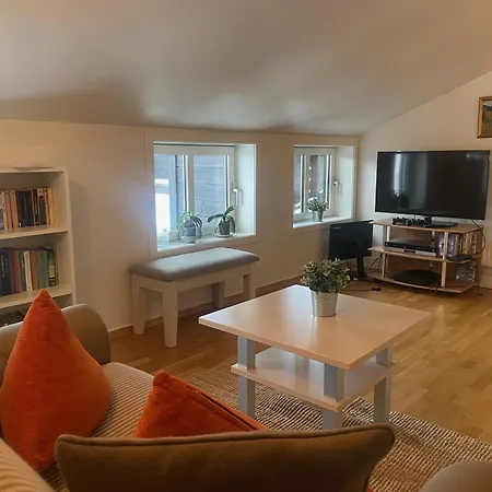 아파트 Toppleilighet Midt I Sentrum